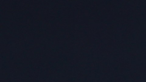 Gerardo Martino actualmente es el entrenador del Inter Miami.