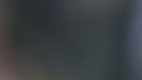 Selección de Estados Unidos.