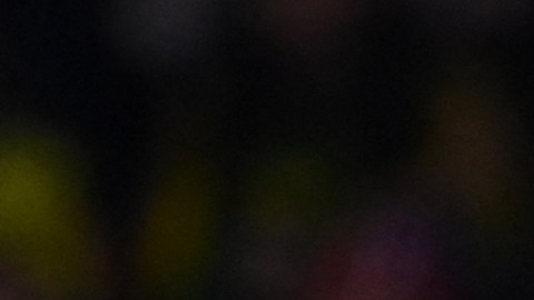 Hervé Renard celebrando en el Mundial Femenil 2023.