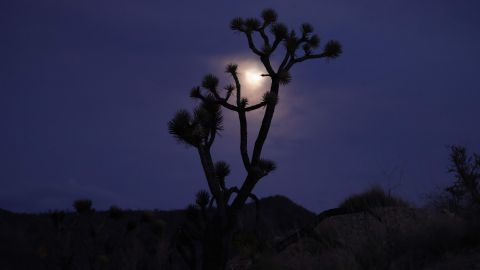 Dos superlunas adornarán el cielo este mes de agosto