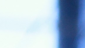 Cabrera recibió gran homenaje en Miami.