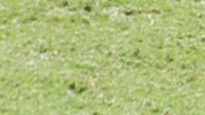 Raúl Jiménez se estrenó con el Fulham en un amistoso contra el Chelsea.