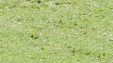 Raúl Jiménez se estrenó con el Fulham en un amistoso contra el Chelsea.