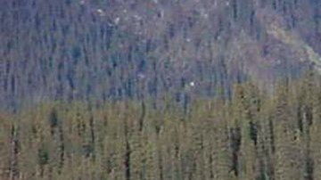 Videos muestran cómo Alaska estuvo bajo amenaza de tsunami tras terremoto de 7.2 grados