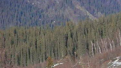 Videos muestran cómo Alaska estuvo bajo amenaza de tsunami tras terremoto de 7.2 grados