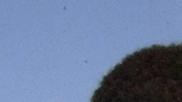 “Pensé que nos llevaban para matarnos”: los niños que fueron separados de sus familias injustamente como resultado del trabajo de una ONG de EE.UU.