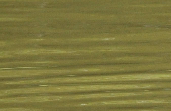Divers from the French gendarmerie search a lake on August 29, 2014 in Chenerailles, central France, after a 4-month-old baby went missing on August 27. Investigations to find a 4-month-old baby who has been missing since August 27 in the Creuse, central France, which the parents claim has been abducted by a stranger, remained unsuccessful on August 29. AFP PHOTO / THIERRY ZOCCOLAN (Photo credit should read THIERRY ZOCCOLAN/AFP via Getty Images)