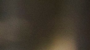 Bisonte cornea a mujer en el Parque Nacional de Yellowstone y la deja con heridas en el pecho y abdomen