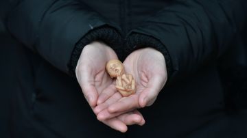 Mujer de Nebraska sentenciada a 90 días de cárcel por quemar un feto después de un aborto