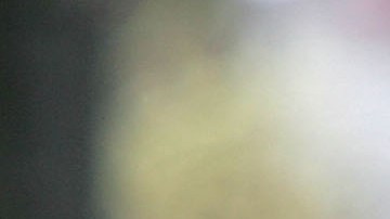 Descubren plantación ilegal de marihuana en Merced vinculada a red de trata de migrantes