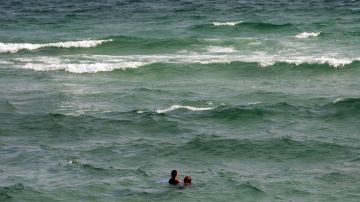 Ataques de tiburones en Florida dejaron dos heridos el fin de semana