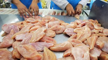 Luego de trágica muerte de joven latino en planta avícola de Mississippi, piden aumentar multas a empleadores