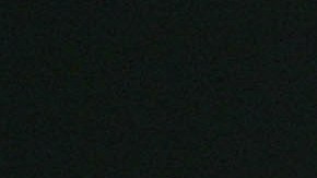 Alcalde en México se casa con un cocodrilo vestido de novia en ritual ancestral para atraer abundancia