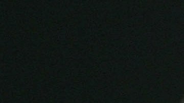 Alcalde en México se casa con un cocodrilo vestido de novia en ritual ancestral para atraer abundancia