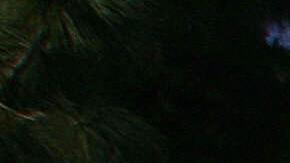 Los Angeles, UNITED STATES: A bank of public phones outside Men's Central Jail in downtown Los Angeles, 10 September 2006. Sheriff's officials acknowledge that they have been overwhelmed by a week's worth of violence in Los Angeles County jails which has left one inmate dead at Pitchess North County Correctional Facility, and at least 28 hospitalized and nearly 90 injured at Pitchess' and other Los Angeles County jail facilities. Violence has continued at Pitchess in Castaic as well as at the Men's Central Jail in downtown Los Angeles. AFP PHOTO / Robyn Beck (Photo credit should read ROBYN BECK/AFP via Getty Images)