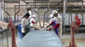 Niño guatemalteco de 16 años muere en trágico accidente en planta avícola de Mississippi