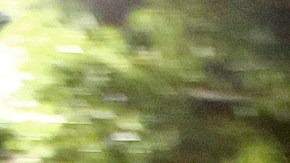 Veterano del ejército es declarado culpable de enseñar a fabricar bombas a sospechoso de atacar al gobierno