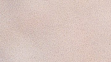 Meyer es uno de los mejores prospectos de las Medias Rojas de Boston.