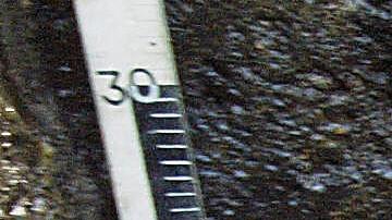 Descubren fósiles de dinosaurios "excepcionalmente raros" de hace 115 millones de años en Maryland