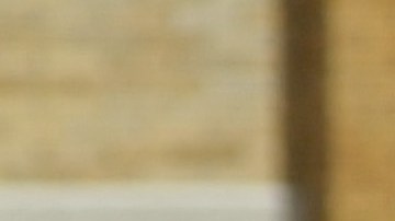 Denuncian que hombre fue atacado por un perro policía de Ohio después de rendirse con las manos en alto