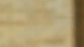 Denuncian que hombre fue atacado por un perro policía de Ohio después de rendirse con las manos en alto