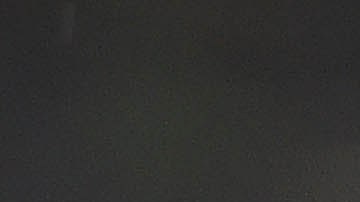 Oficial es puesto en licencia tras ataque de perro policía a sospechoso que se había entregado