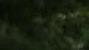 Emergency vehicles fill the road at the scene of an in-air collision between a Cessna 402 twin-engined aeroplane and possibly a micro-light style aircraft close to Coombe Abbey near Coventry on August 17, 2008. Five people are confirmed to have been killed in the incident with an eye-witness suggesting that the smaller aircraft flew into the side of the larger Cessna as it came into land at Coventry airport. AFP PHOTO/Leon Neal (Photo credit should read Leon Neal/AFP via Getty Images)