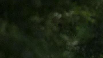 Emergency vehicles fill the road at the scene of an in-air collision between a Cessna 402 twin-engined aeroplane and possibly a micro-light style aircraft close to Coombe Abbey near Coventry on August 17, 2008. Five people are confirmed to have been killed in the incident with an eye-witness suggesting that the smaller aircraft flew into the side of the larger Cessna as it came into land at Coventry airport. AFP PHOTO/Leon Neal (Photo credit should read Leon Neal/AFP via Getty Images)