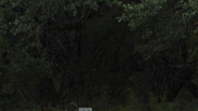 Oficiales de policía