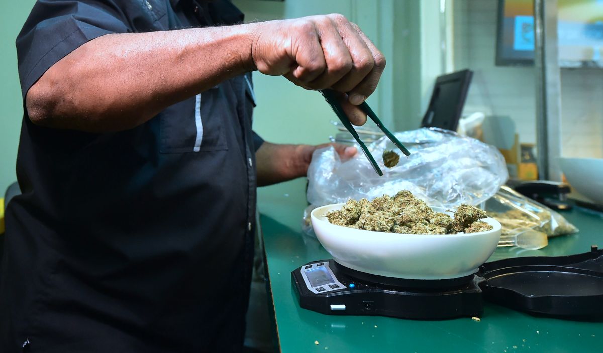 Marijuana is weighed on a scale at Virgil Grant's dispensary in Los Angeles, California on February 8, 2018. Virgil Grant is riding the high on California's cannabis legalization, with a burgeoning empire that already comprises three dispensaries, two plantations and a line of apparel. His success has come as some compensation for the six years lost inside the federal prison system for dealing the drug. / AFP PHOTO / Frederic J. BROWN / TO GO WITH AFP STORY by Veronique DUPONT (Photo credit should read FREDERIC J. BROWN/AFP via Getty Images)