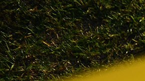 Tiroteo en Luisiana deja cuatro muertos durante el Día de la Independencia de EE.UU.