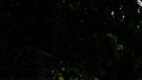 Niña de 6 años murió en Arizona luego de que su madre la golpeó accidentalmente con la hélice de un bote