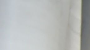 VIDEO: Conductor de grúa se queda sin frenos y salta de grúa en movimiento en México