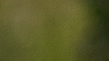 Identifican a una persona vinculada con la muerte de cuatro mujeres en Portland