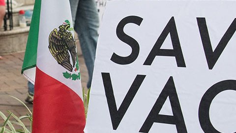 AMLO agradece a Joe Biden no aplicar sanciones económicas contra México por la vaquita marina y la totoaba