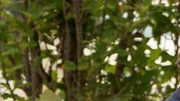 Hunter Biden continuará siendo señalado por los republicanos