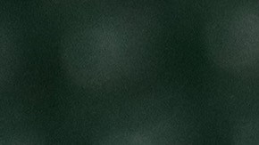 Salinas es un usuario activo de las redes sociales.