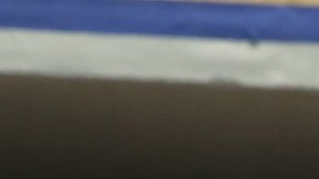 Antonio Mohamed, DT de Pumas.