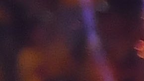 Jugadoras de Tigres de la UANL durante la celebración del título.