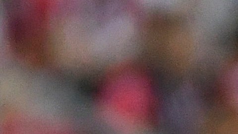 Paunovic llegó a los 13 triunfos con Chivas.