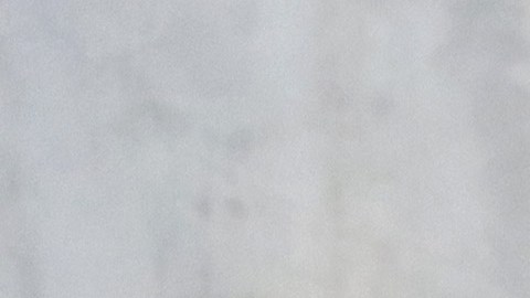 Fernando Ortiz "Tano", director técnico de Rayados.