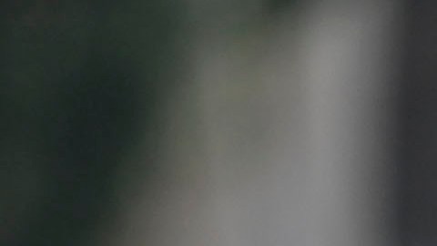 Diego Lainez.