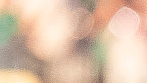 Diego lainez alzando la Copa Oro.