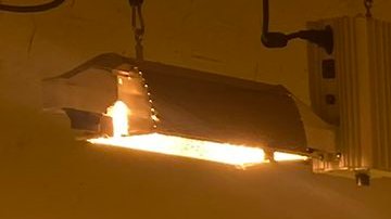 La policía de Los Ángeles informó que se encontraron centenas de plantas de marihuana en el lugar.