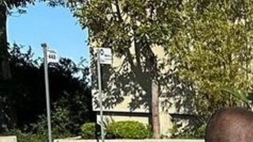 Los alguaciles arrestaron a los sospechosos que intentaron robar en las casas evacuadas.