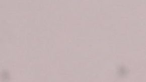 La Chiquibaby en los Latin American Music Awards 2023.