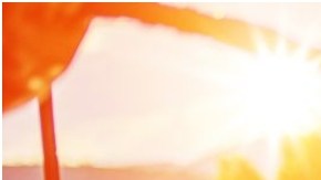 Limpieza de carrocería de coche