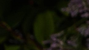 Lindsay Lohan en el New York Fashion Week 2023.