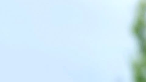 Luz F. Milauskas, muestra sus originales galletas. (Cortesía)