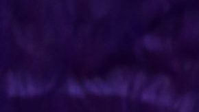 Migbelis Castellanos, presentadora venezolana.